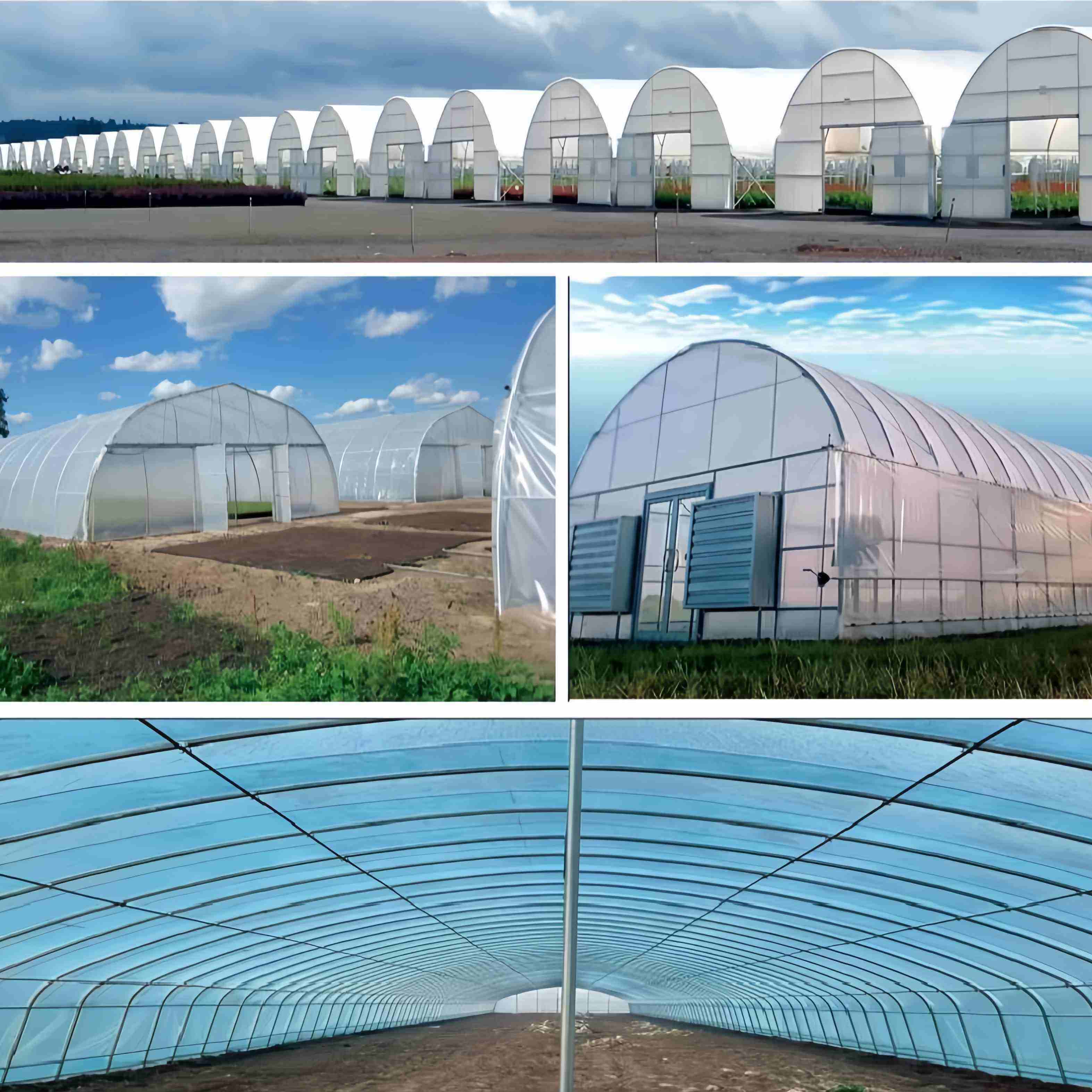 Tunnel/Single Greenhouse
