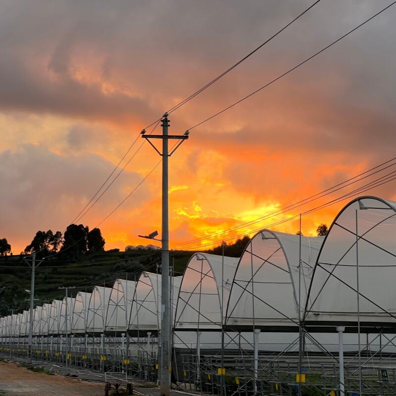 Çeşitli Yetiştirme Kapasiteleri ve Ürün Çeşitliliği