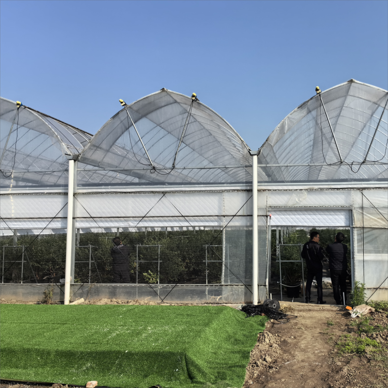 Bir Gotik Sera Bitki Yetiştirimini Nasıl İyileştirir?