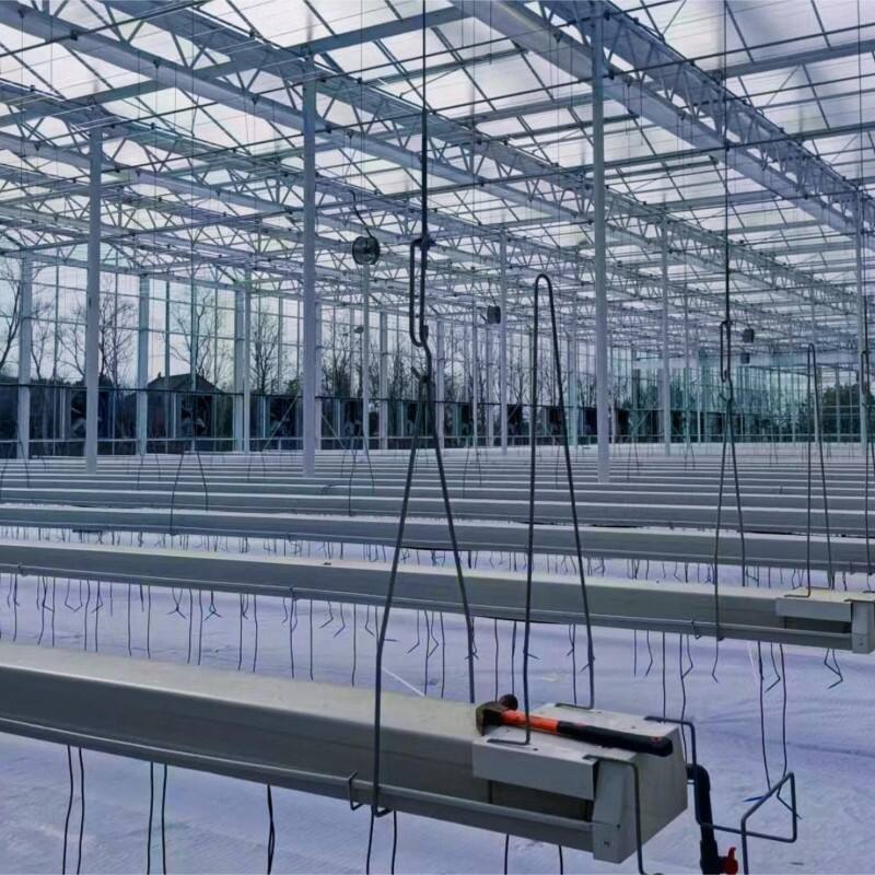 Modern agricultural glass greenhouse for flower/strawberry/tomato with temperature control system/shading system/irrigation system