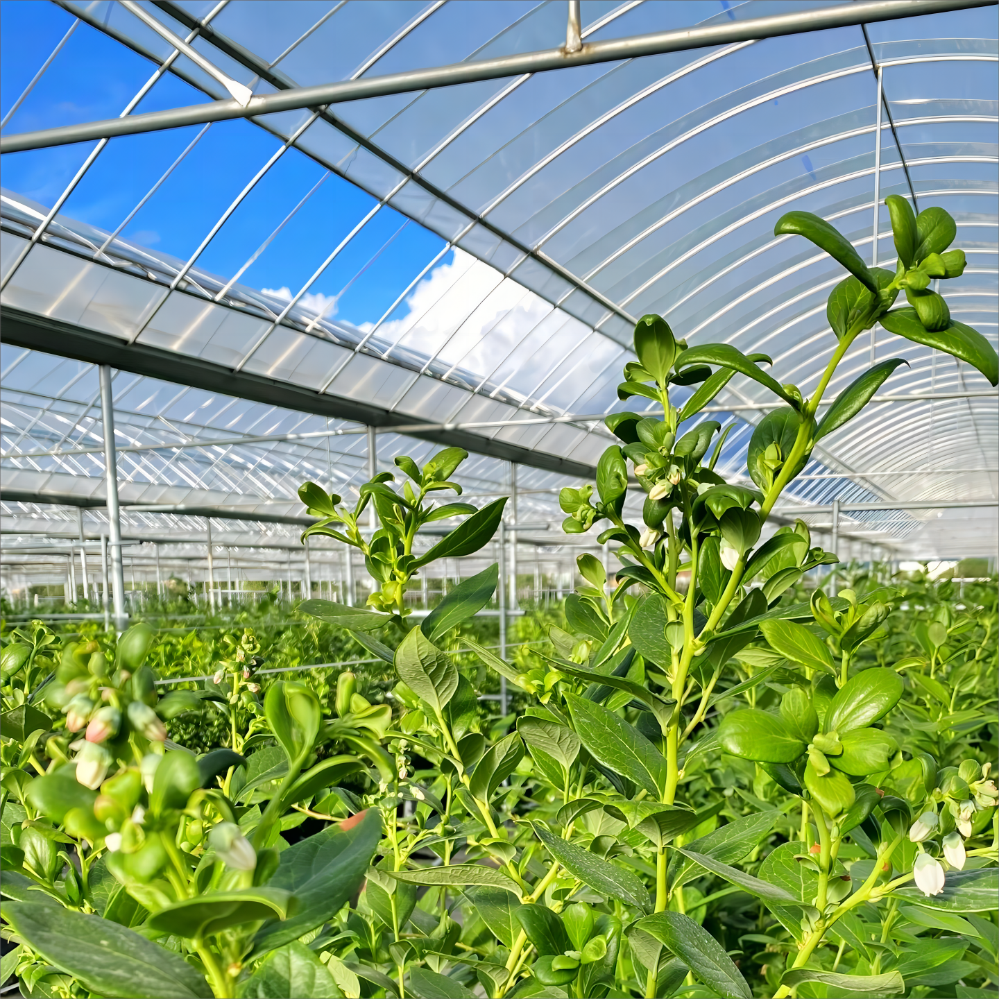 Əməkan Klimat Kontrol Texnologiyası