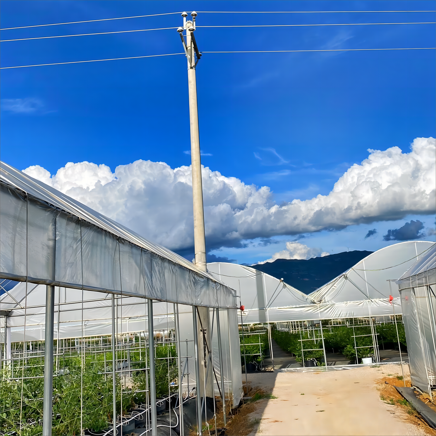 Professional-Grade Durability Ensures Long-Term Performance and Value