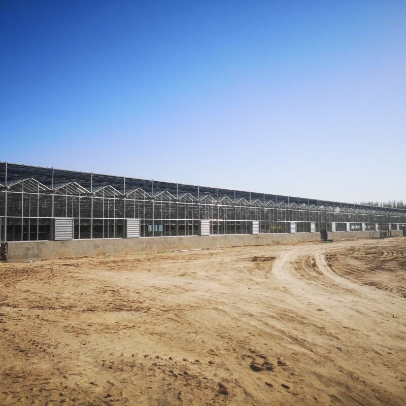 Gelişmiş İklim Kontrolü ve Otomasyon Teknolojisi