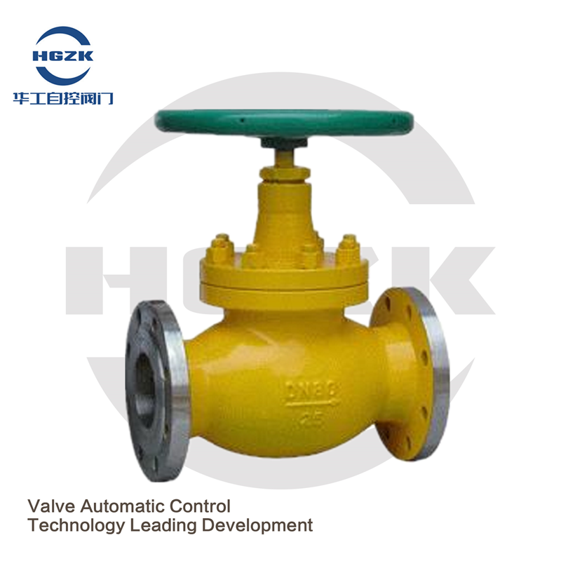 Liquefied gas globe valve