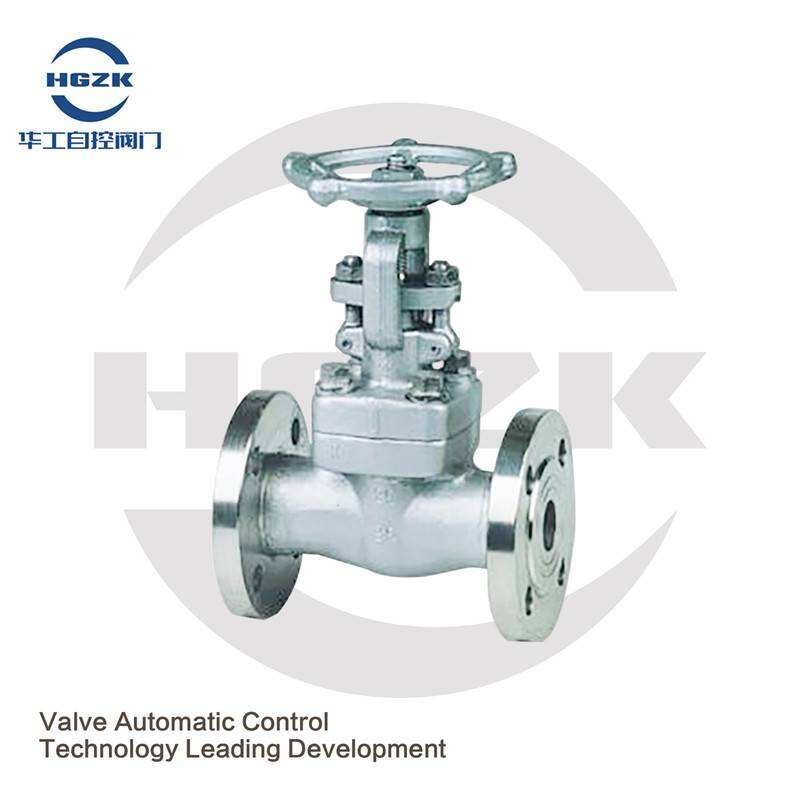 Z41Y-16P Forged Steel Flange Gate Valve