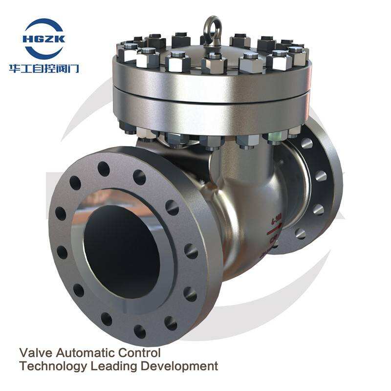 DH61Y Ultra-low Temperature Swing Check Valve