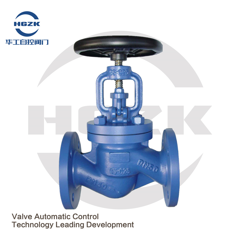 Pulsator globe valve WJ41H