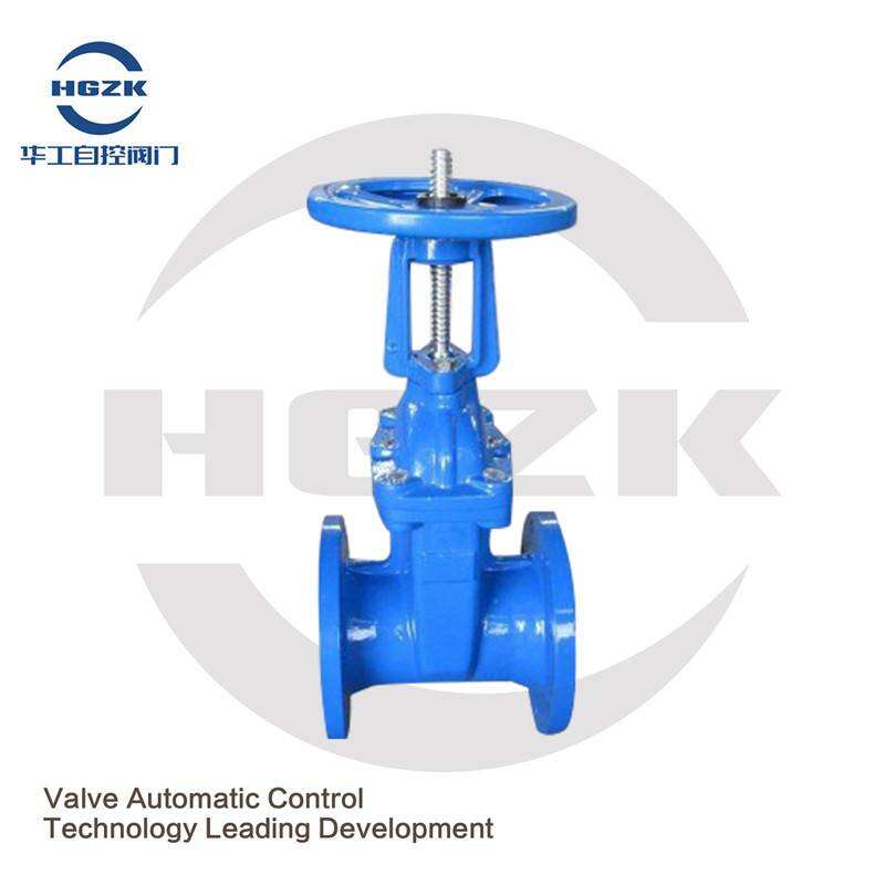 Z41X-16Q Cast Iron Rising Stem Gate Valve