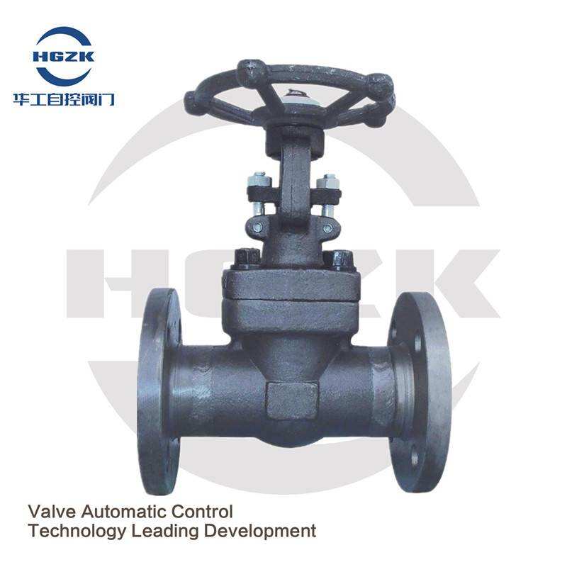 Z41H Forged Steel Flange Power Station Gate Valve