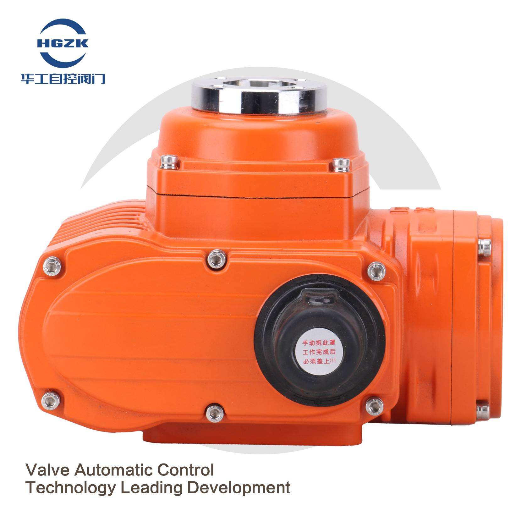 Small explosion-proof electric actuator