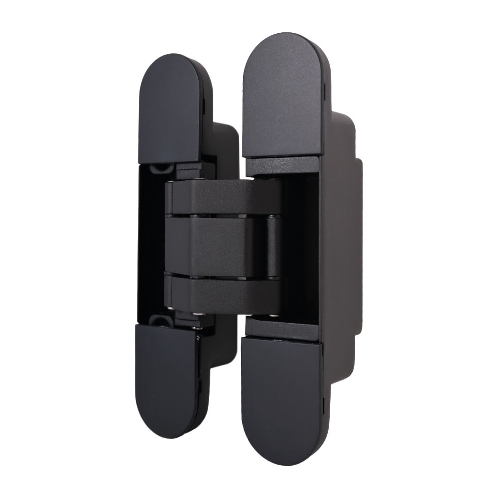 GE55 60 kg 3D-dolda träddörrsbygglås