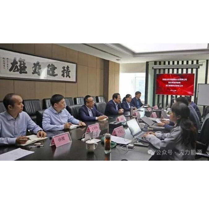Tianli Energy dan Anak Perusahaannya Berhasil Melalui Audit Ulang Sertifikasi ISO Tiga Sistem