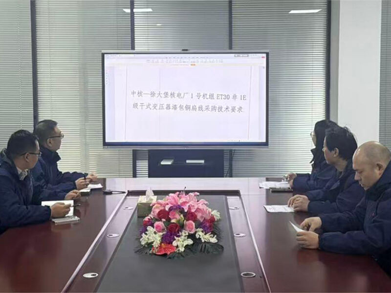 تأمين مشروع استراتيجي للطاقة النووية