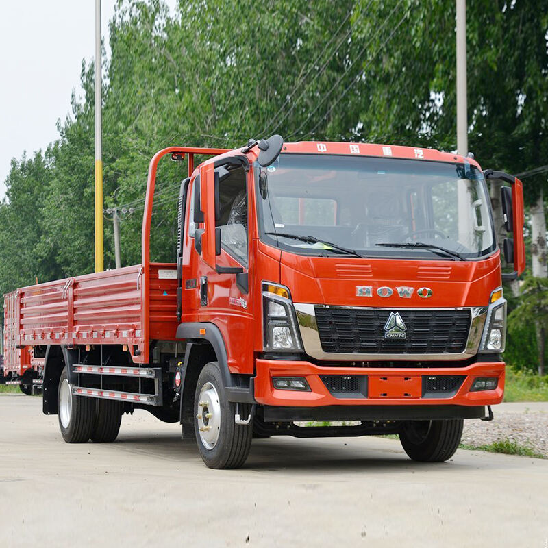 HOWO 5.2m Cargo Truck