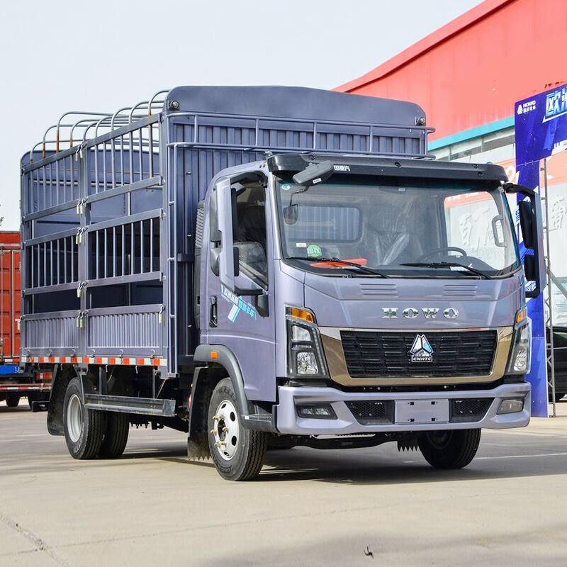 HOWO 4.15m cargo truck