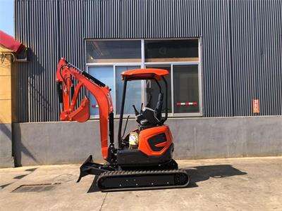 A Canadian customer orders a mini excavator