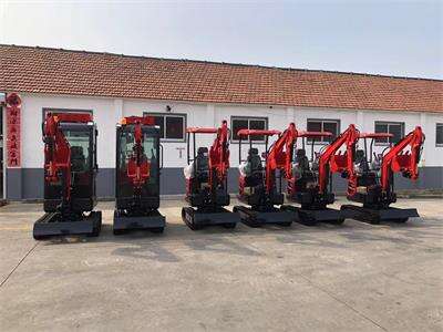 A year ago, the customer ordered six more mini excavators