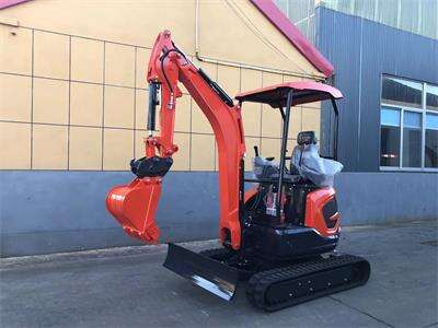 A mini excavator sent to Italy