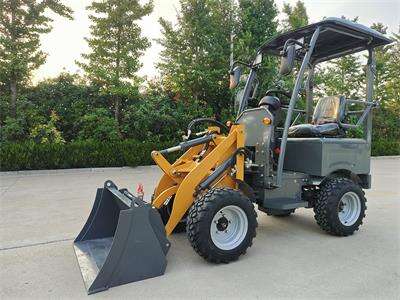 Italian customer repurchases an electric loader