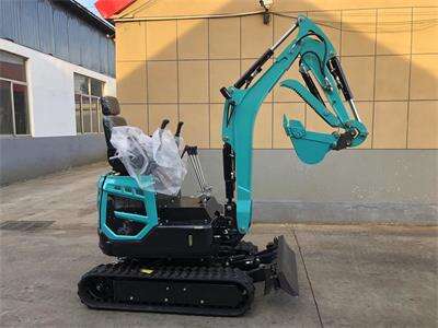 A comprehensive evaluation of our mini excavator from a Singaporean customer