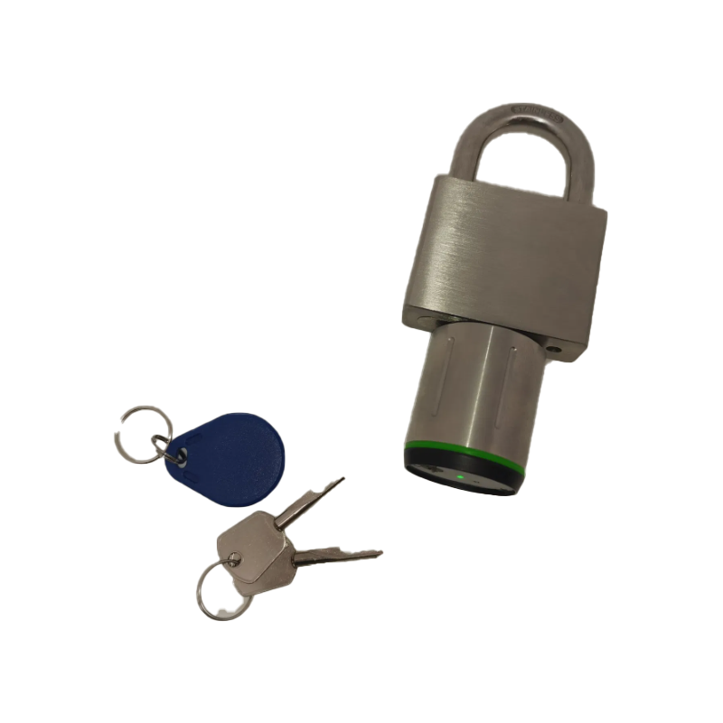 What Common Issues Do Buyers Face with Bluetooth Smart Locks?