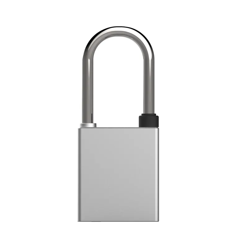Recommended Outdoor Security Locks for Gates, Tool Sheds and Garages