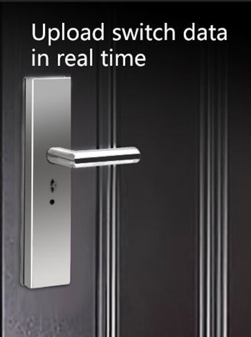 Multi-function Intelligent Door Lock