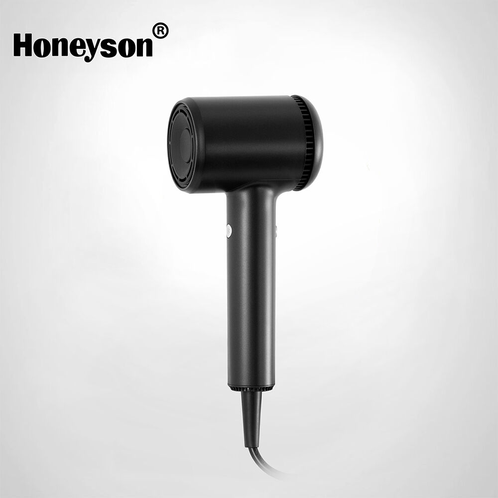 F25 Ionic Premium Hotel Hair Dryer Modern Hospitality
