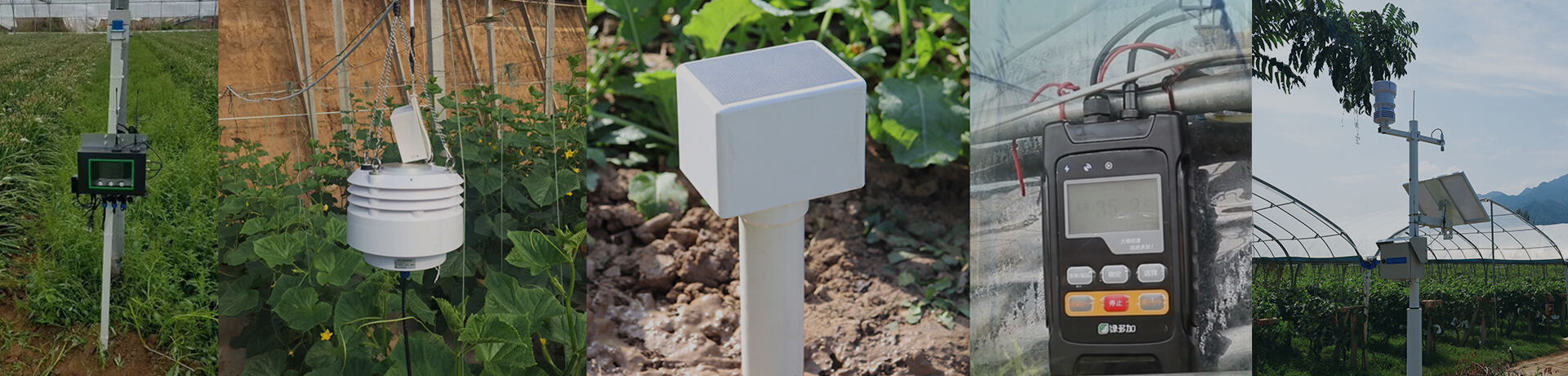 Intelligent Agriculture Sensor