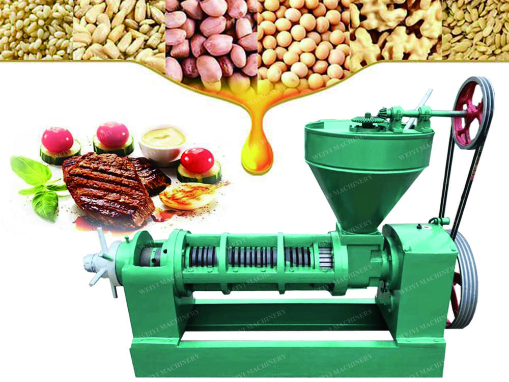 Why Choose a Small Sunflower Oil Press Machine?