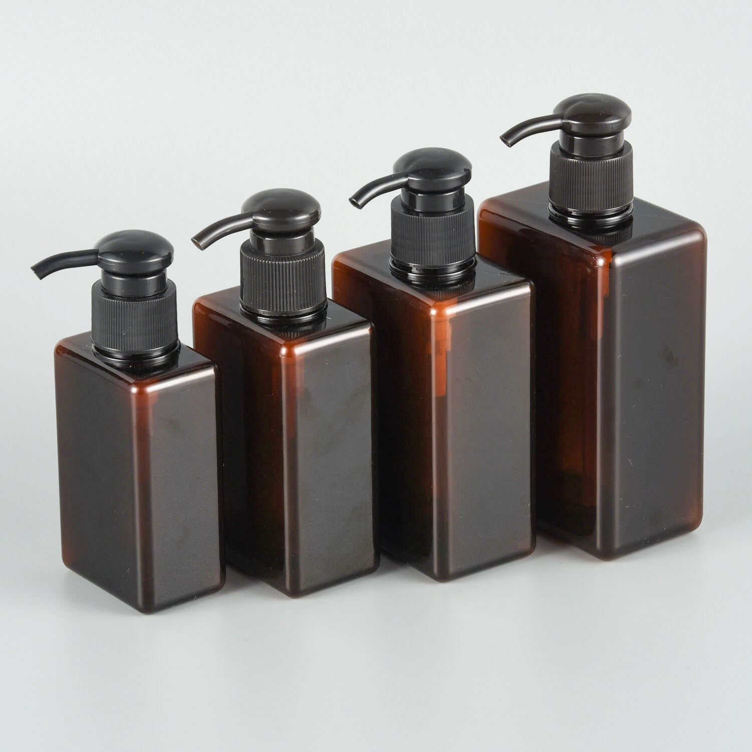 Aucta Securitas et Producta Praeservatio