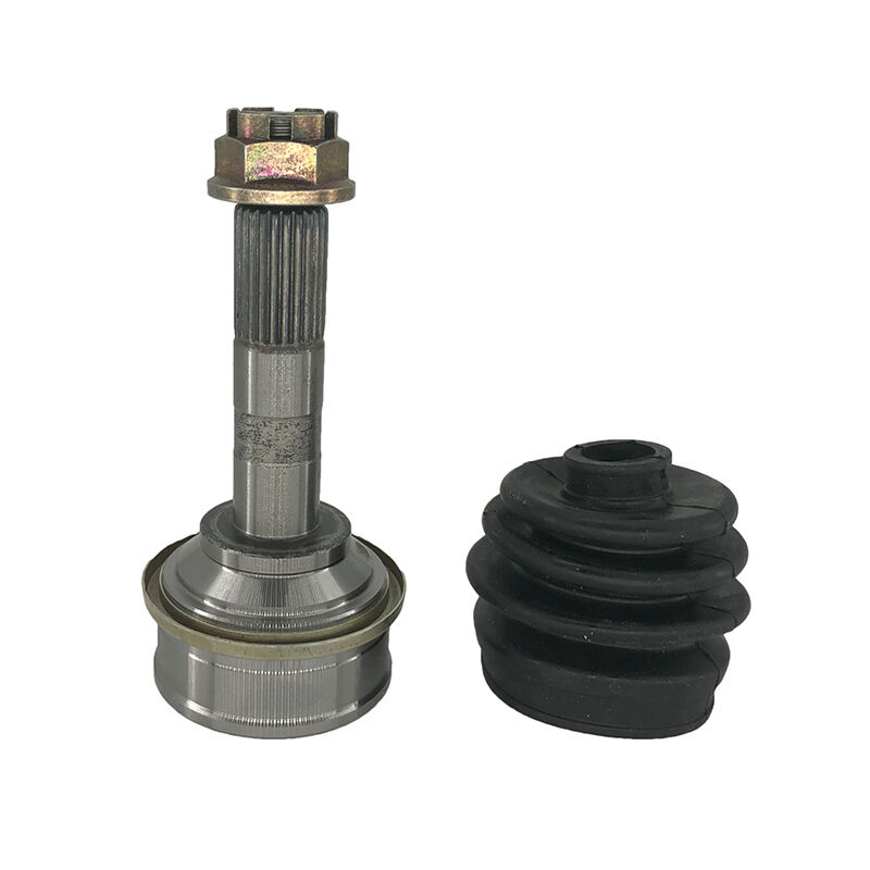ÇV BİTİŞÇESİ DIŞI DA-11