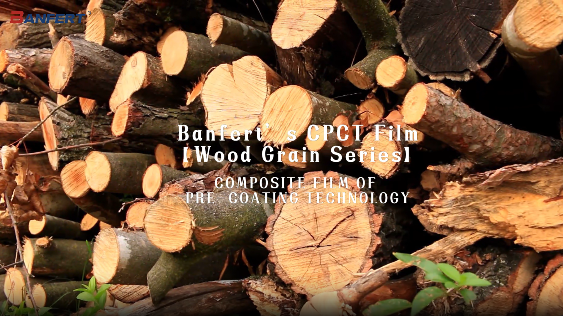 Banfert's CPCT Film【Wood Grain Series】8