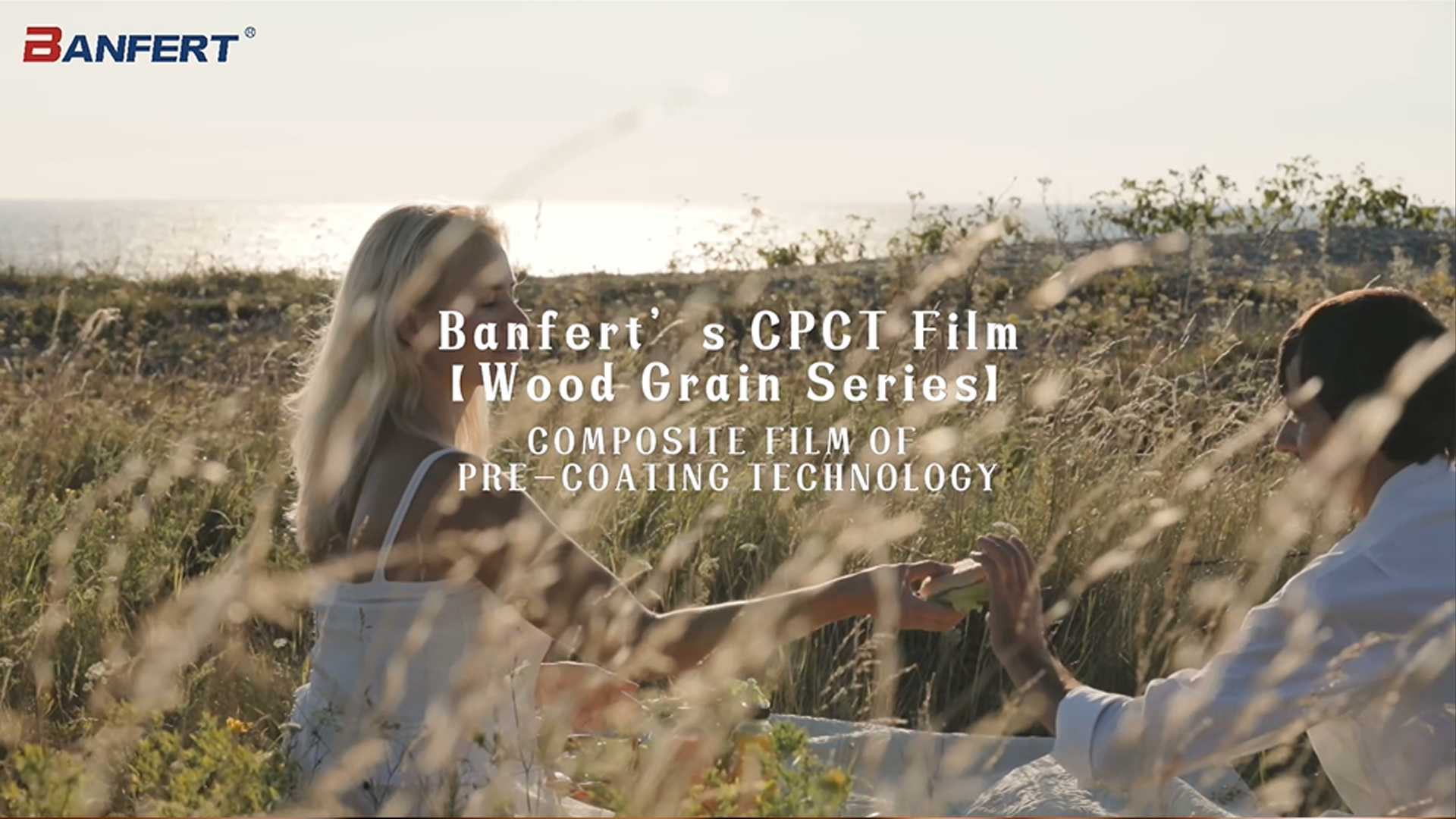 Banfert's CPCT Film【Wood Grain Series】5