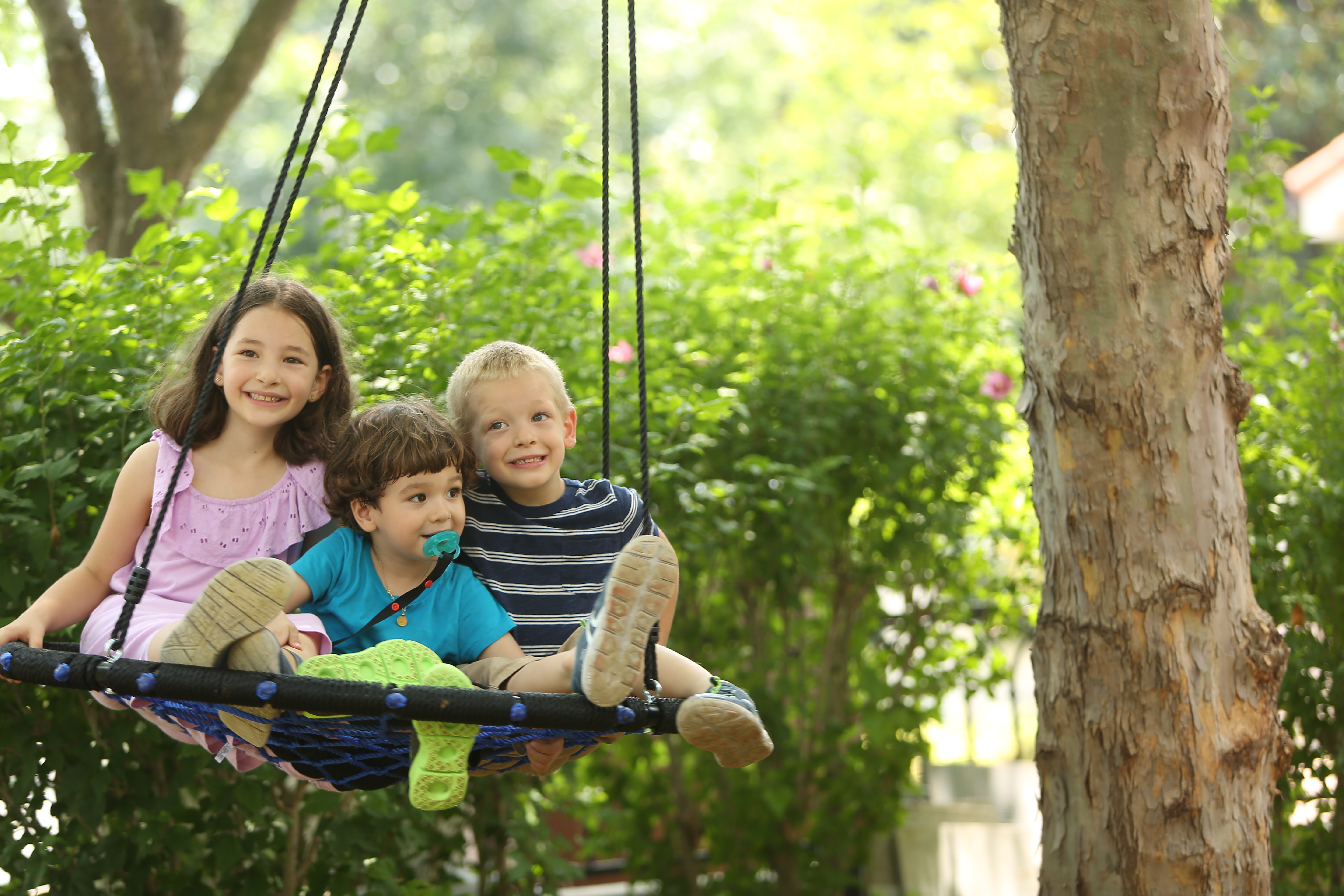 Cynaliadwyedd Amgylcheddol