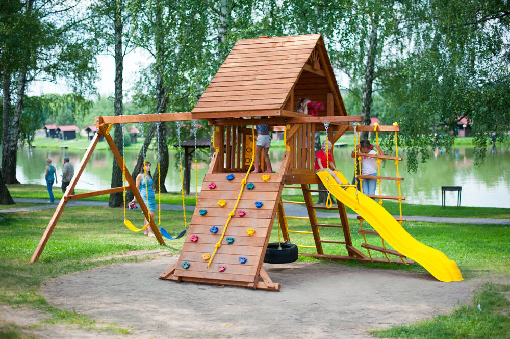 Comprehensive Physical and Cognitive Development