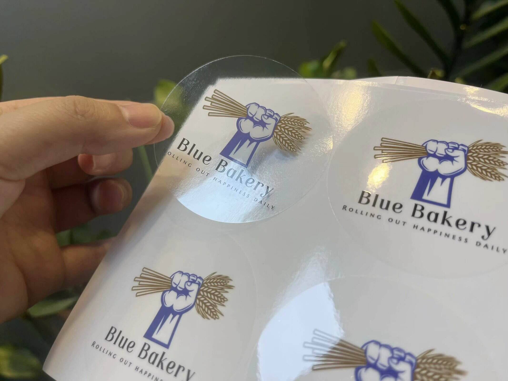 Přizpůsobitelný modulární design pro rostoucí sbírky