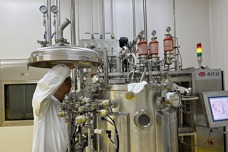 Oncolytic Adenovirus Production Using 15L & 150L Fixed-Bed Bioreactors