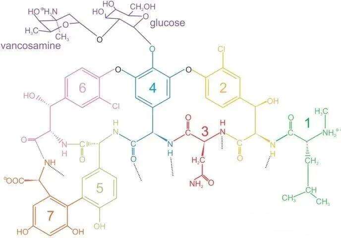 Fermentation Technology - The Innovative Solution to Break the Deadlock of Peptide Drug Resistance (3)_cleanup_docsmall.com