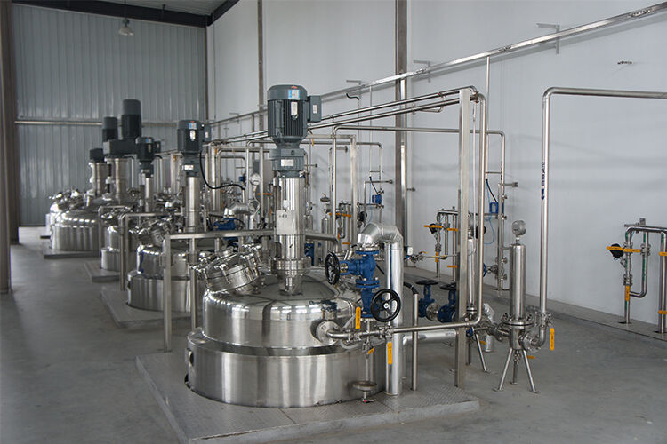 Vitamin Fermentation Production
