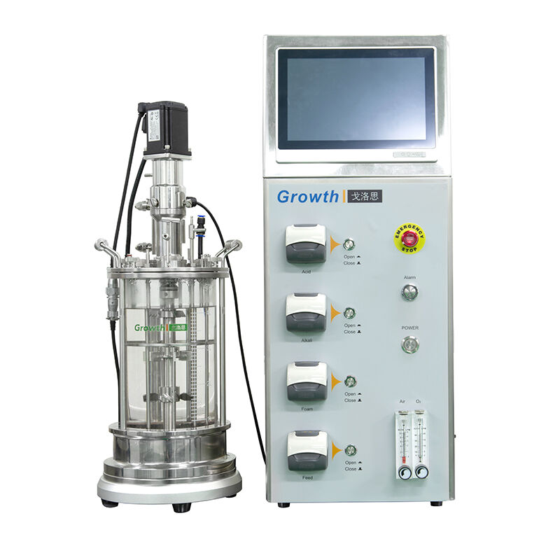Glass Fermentor