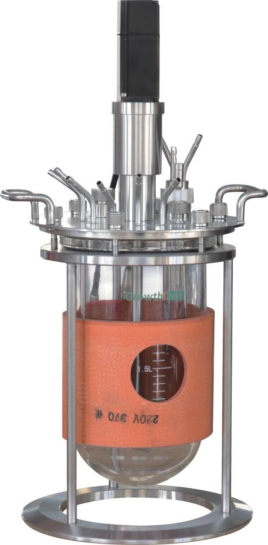Premium Lab Bioreactor Solutions for Biopharmaceuticals