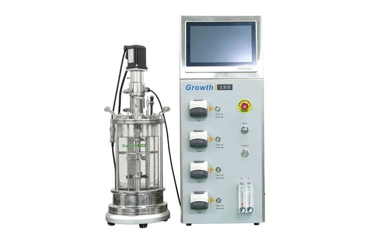 Glass Fermentor