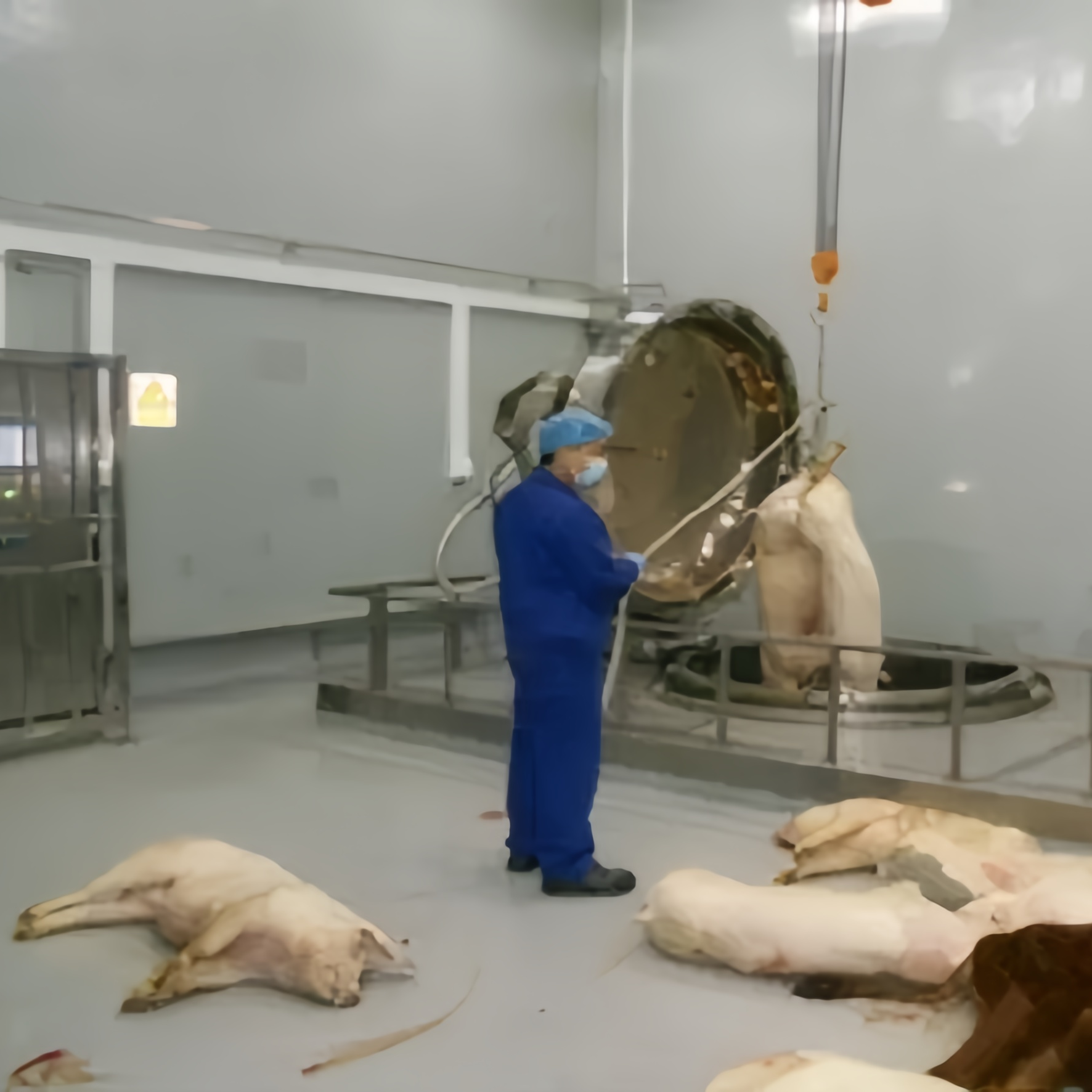 Alkaline Hydrolysis Equipment for Animal Carcass Disposal