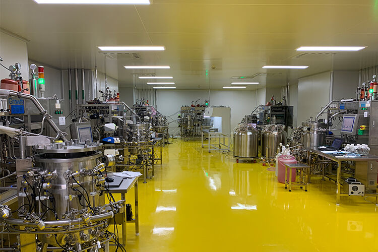 Suspension Culture for Influenza Vaccine Production