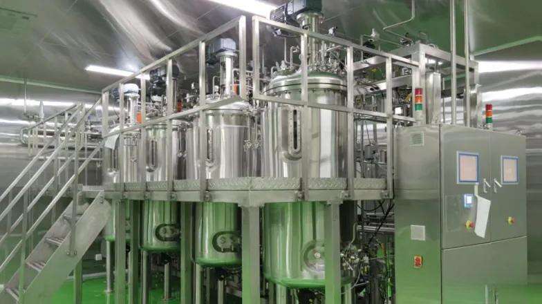 Fermentation Technology: The Innovative Solution to Break the Deadlock of Peptide Drug Resistance