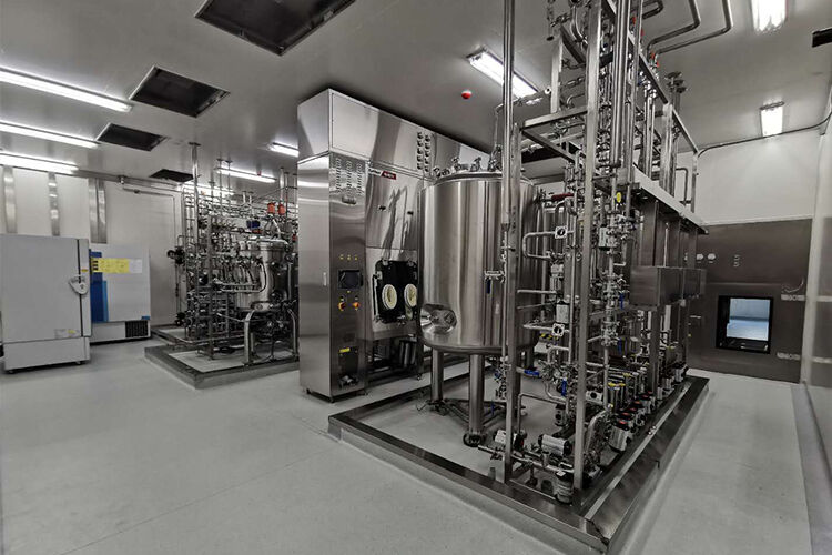 Production of Recombinant Adenovirus COVID-19 Vaccine