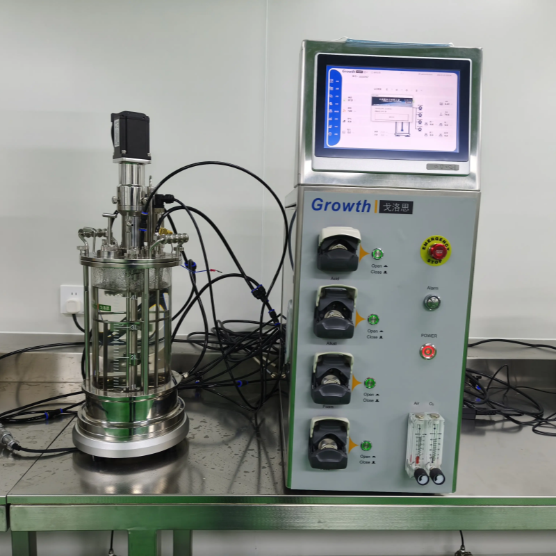 vitamin fermentation production-5