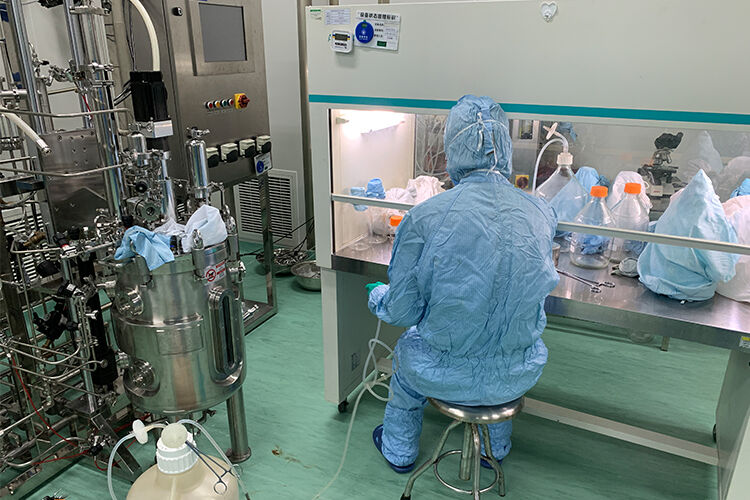Rotavirus Vaccine Production
