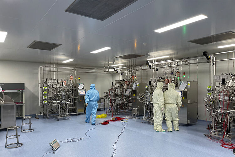 Fixed-Bed (Fibra-Disk) Bioreactors for Rabies Vaccine Production